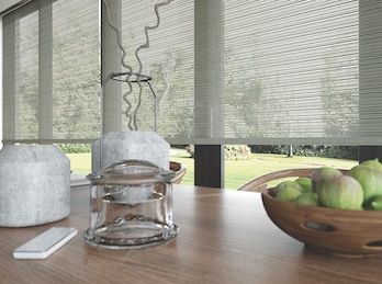 Roller blind designs come in blackout, sunscreen and light filter options